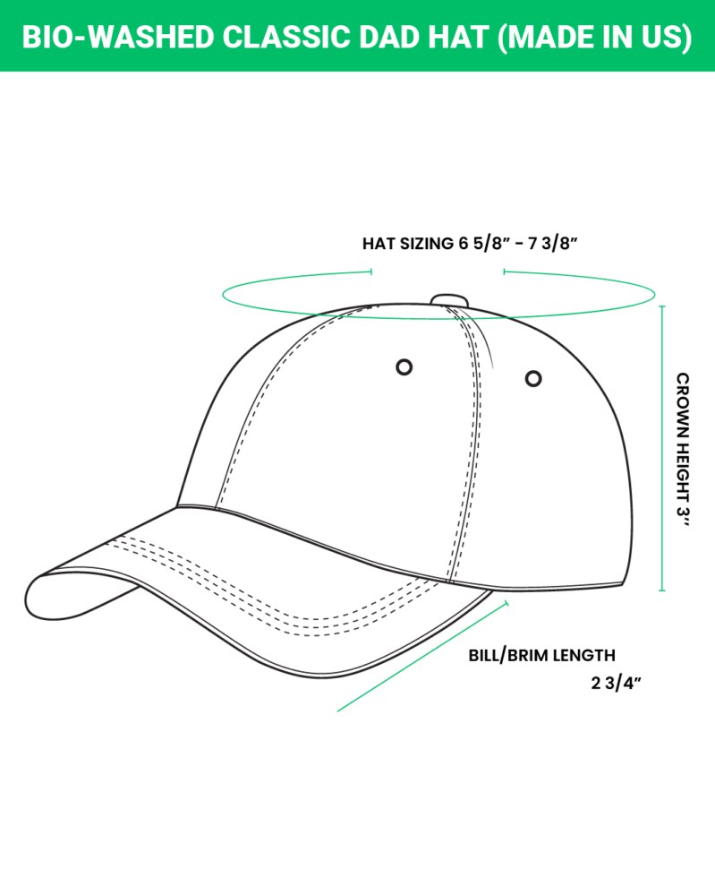 DETROIT RED WINGS - Bio-Washed Classic Dad Hat - The Original Six