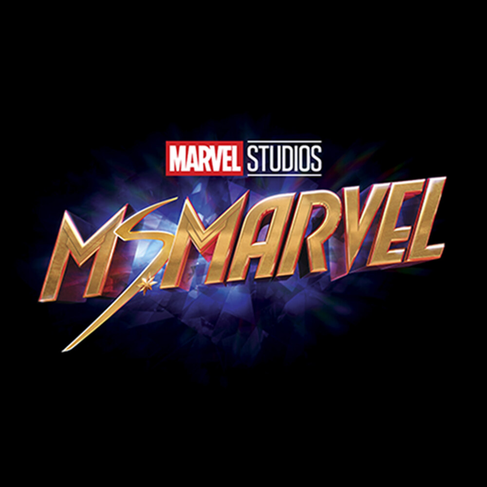 Men's Marvel Ms. Marvel Logo  Adult T-Shirt