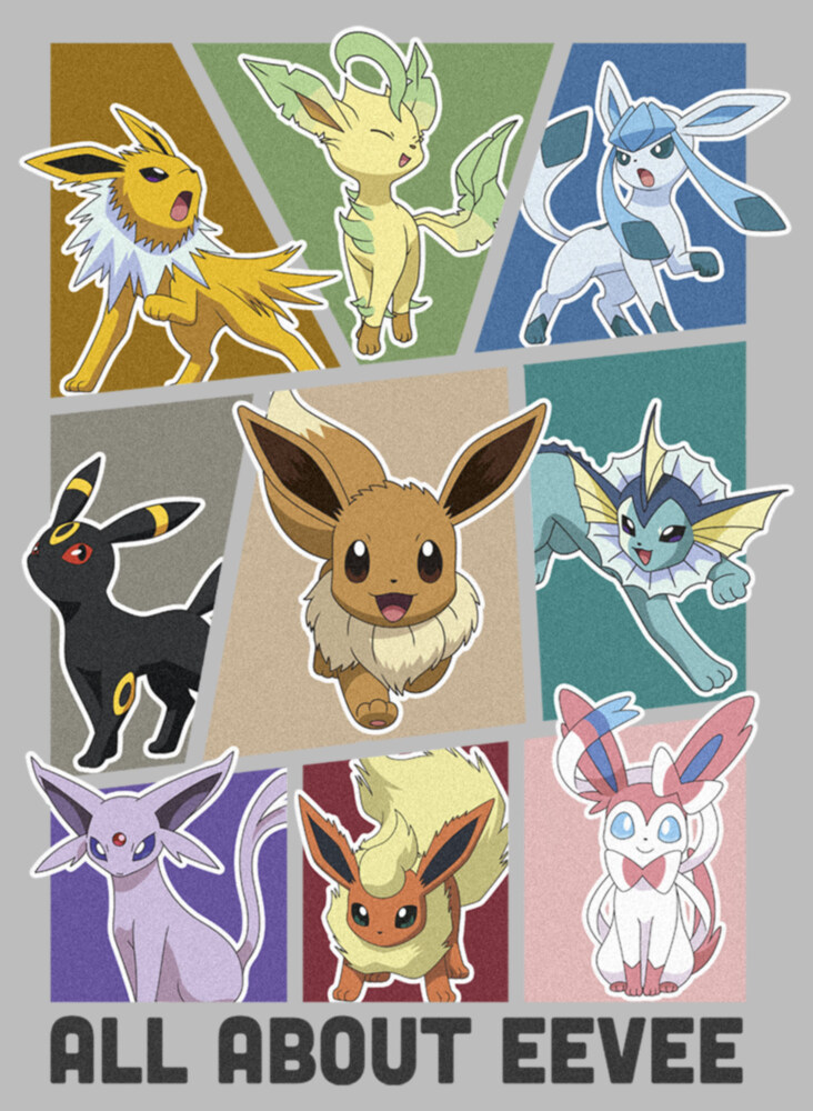 Men's Pokemon All About Eevee Eeveeloution  Adult T-Shirt