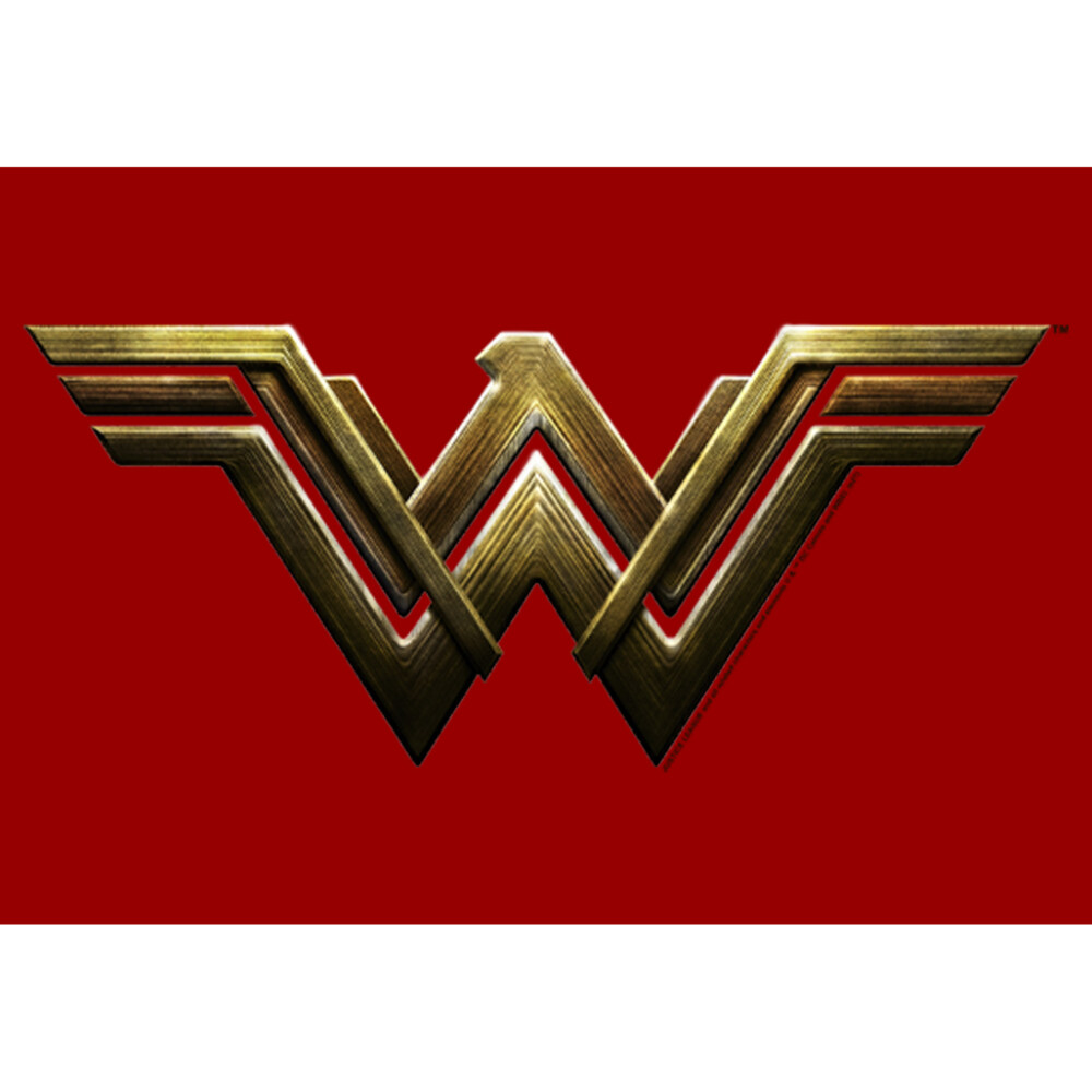 Men's Zack Snyder Justice League Wonder Woman Logo  Adult T-Shirt