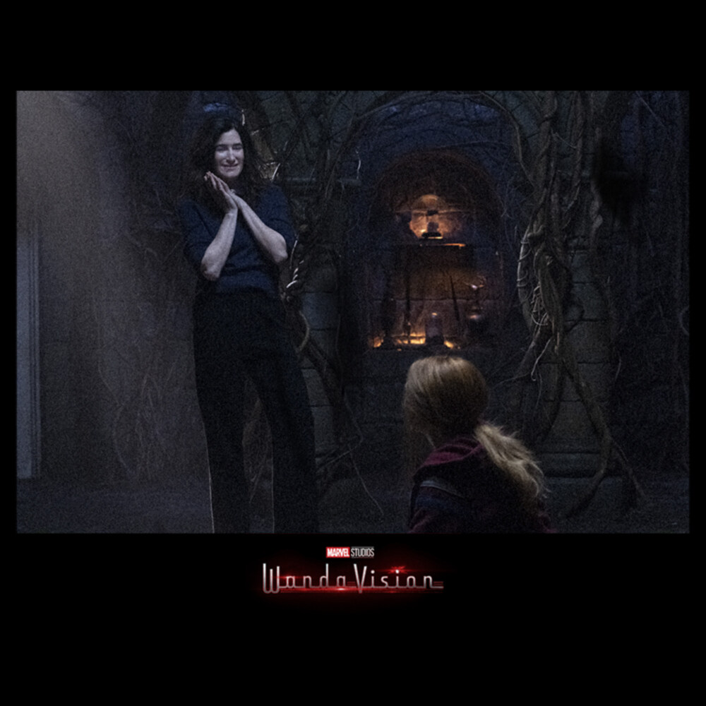 Men's Marvel WandaVision Wanda and Agatha  Adult T-Shirt