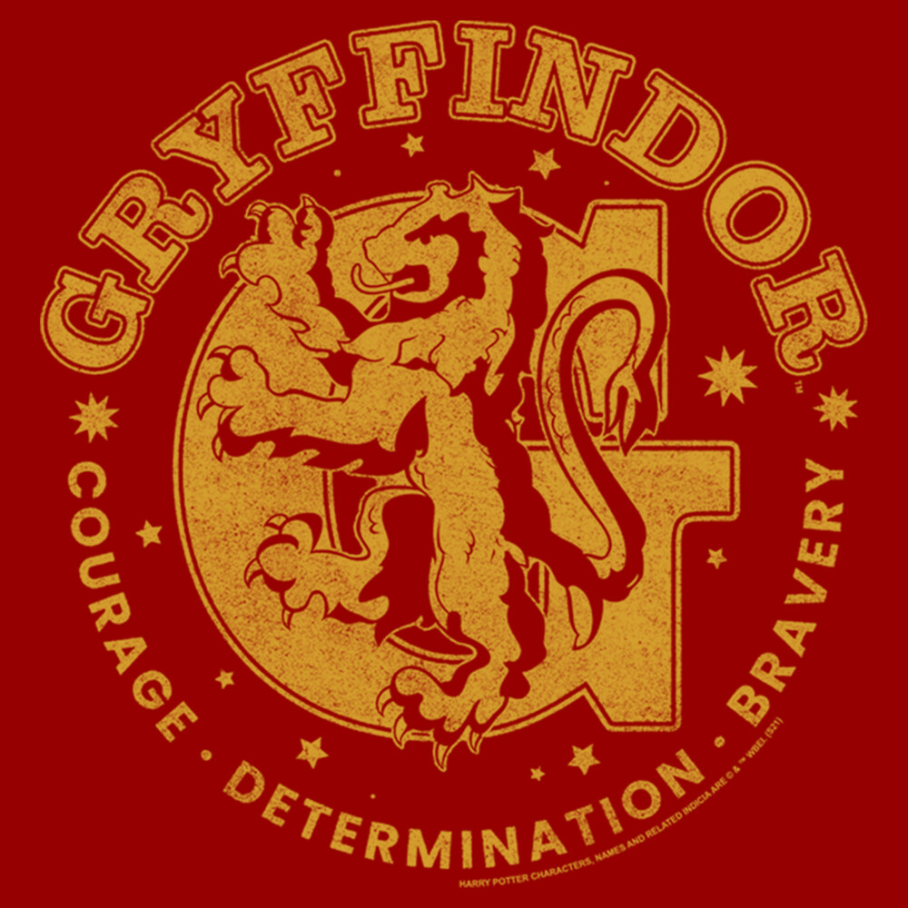 Men's Harry Potter Gryffindor Courage, Determination, and Bravery  Adult T-Shirt
