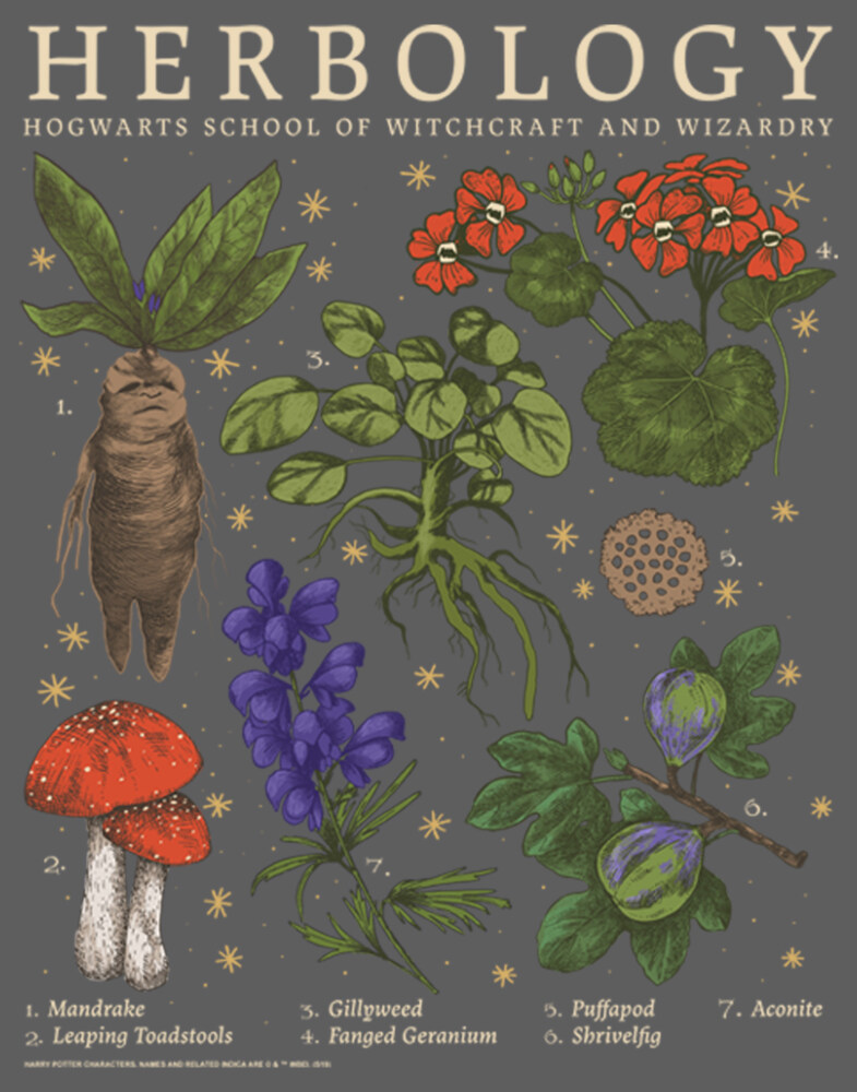 Men's Harry Potter Hogwarts Herbology  Adult Tank Top