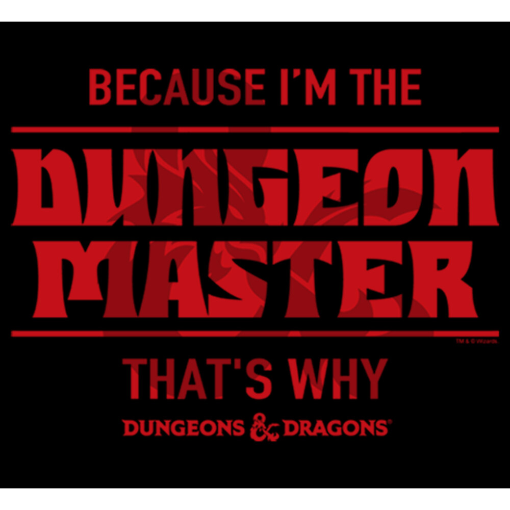 Men's Dungeons & Dragons Because I'm the Dungeon Master, That's Why  Adult Pull Over Hoodie