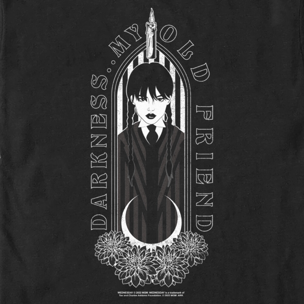 Men's Wednesday Darkness My Old Friend  Adult T-Shirt