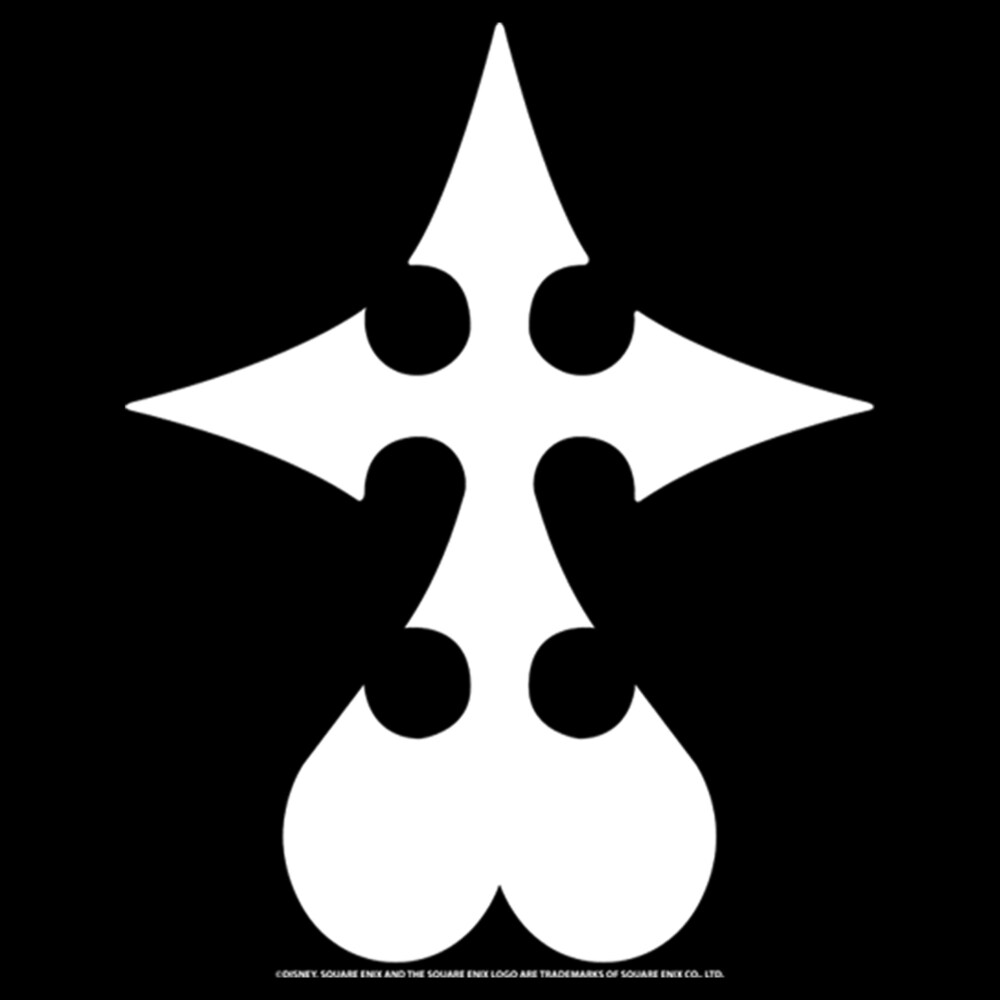 Men's Kingdom Hearts 1 Organization XIII  Adult Pull Over Hoodie