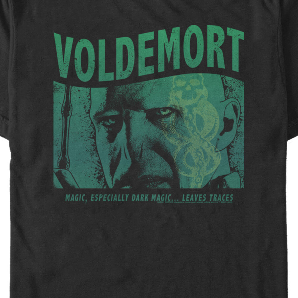 Men's Harry Potter Voldemort Dark Magic  Adult T-Shirt