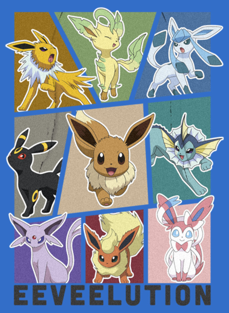 Men's Pokemon All About Eevee Eeveeloution  Adult Pull Over Hoodie