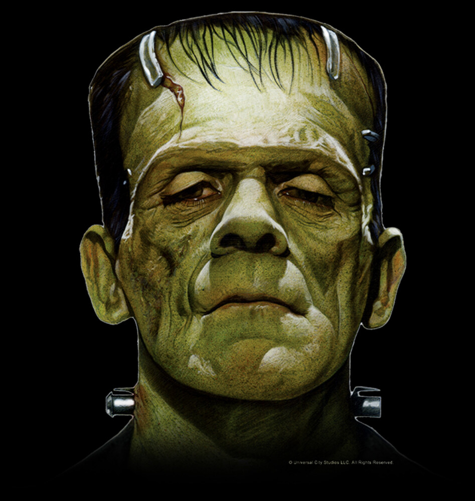 Men's Universal Monsters Big Frankenstein's Creature Head  Adult T-Shirt
