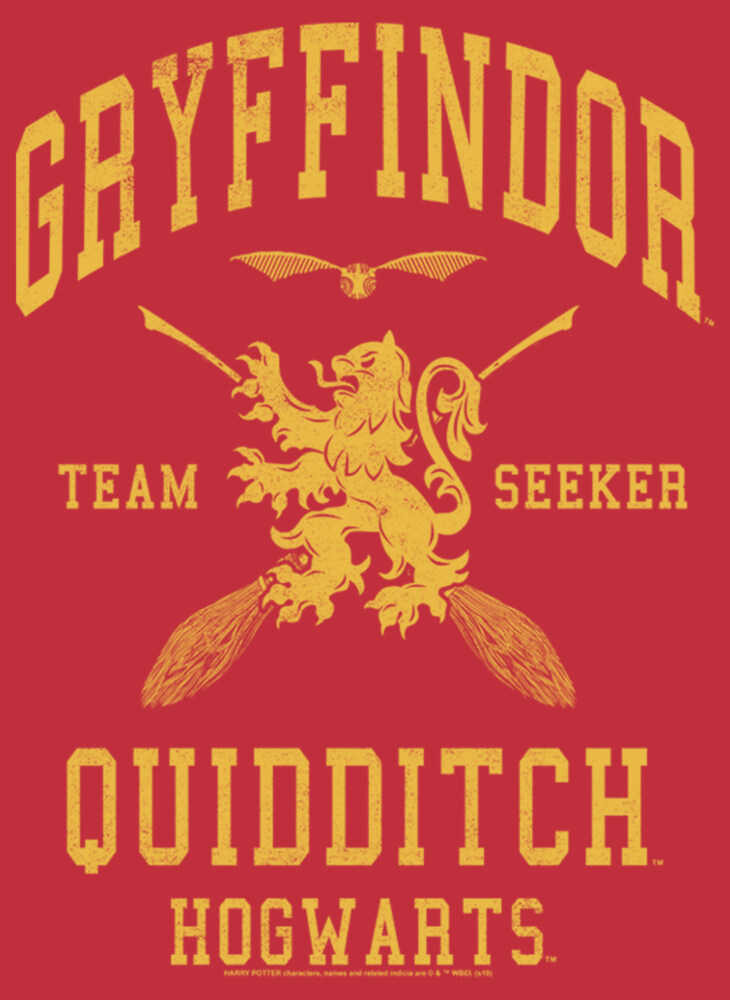 Men's Harry Potter Gryffindor Quidditch Gold Team Seeker  Adult Sweatshirt