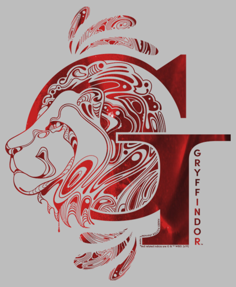 Men's Harry Potter Gryffindor G Logo  Adult T-Shirt