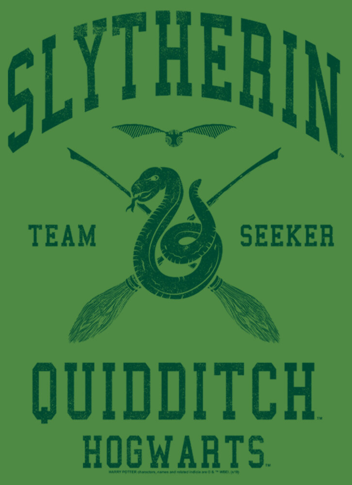 Men's Harry Potter Slytherin Quidditch Team Seeker  Adult T-Shirt