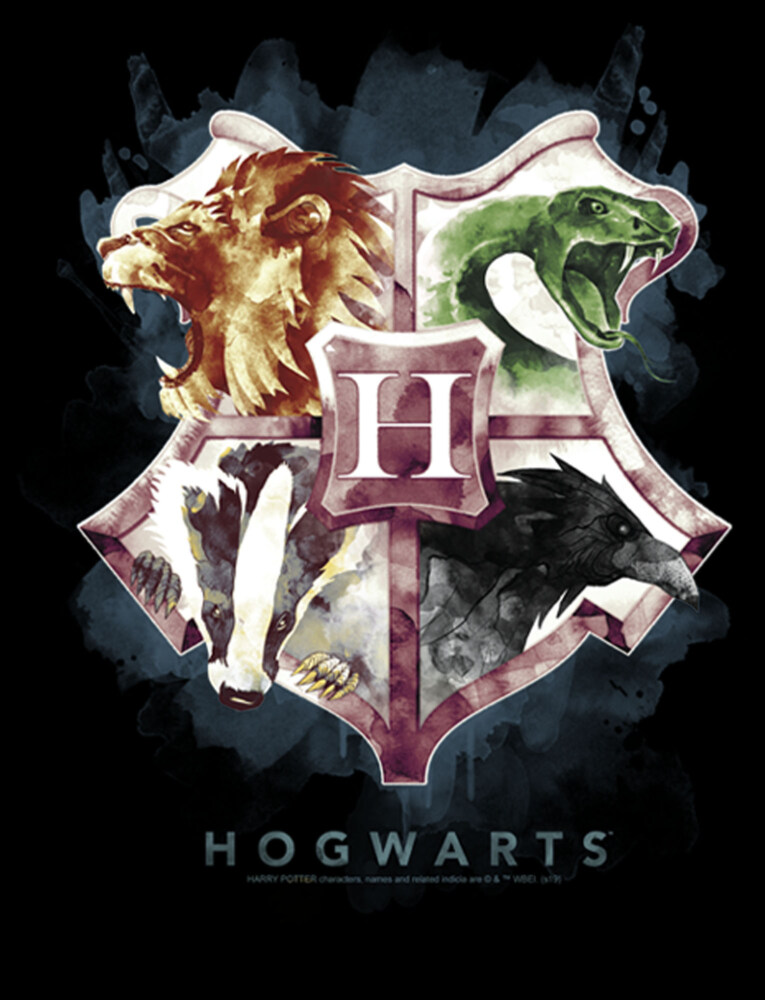 Men's Harry Potter Hogwarts Watercolor Symbols  Adult Pull Over Hoodie