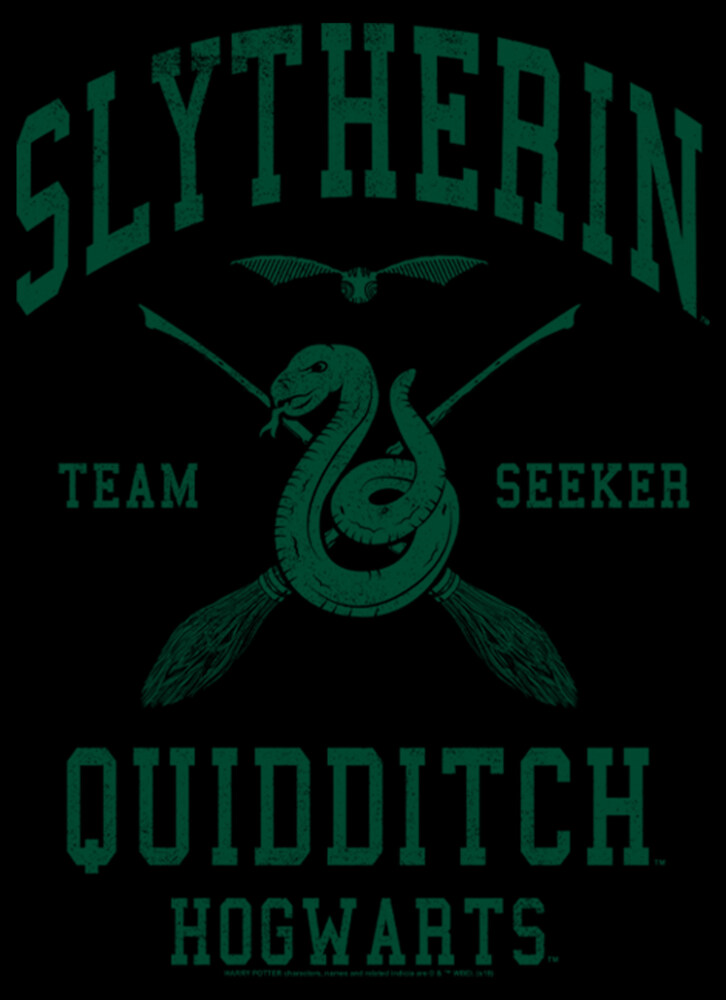 Men's Harry Potter Slytherin Quidditch Team Seeker  Adult Pull Over Hoodie