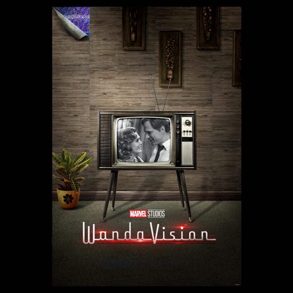 Men's Marvel WandaVision '50s Televison Poster  Adult T-Shirt