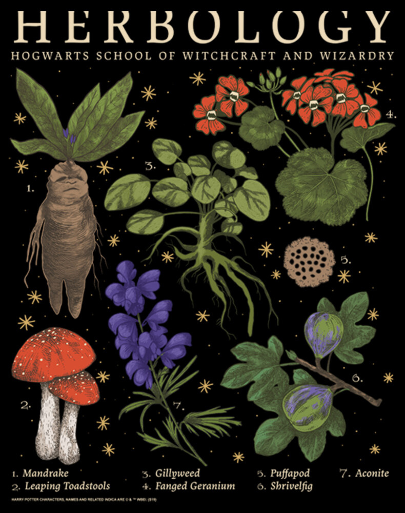 Men's Harry Potter Hogwarts Herbology  Adult Sweatshirt