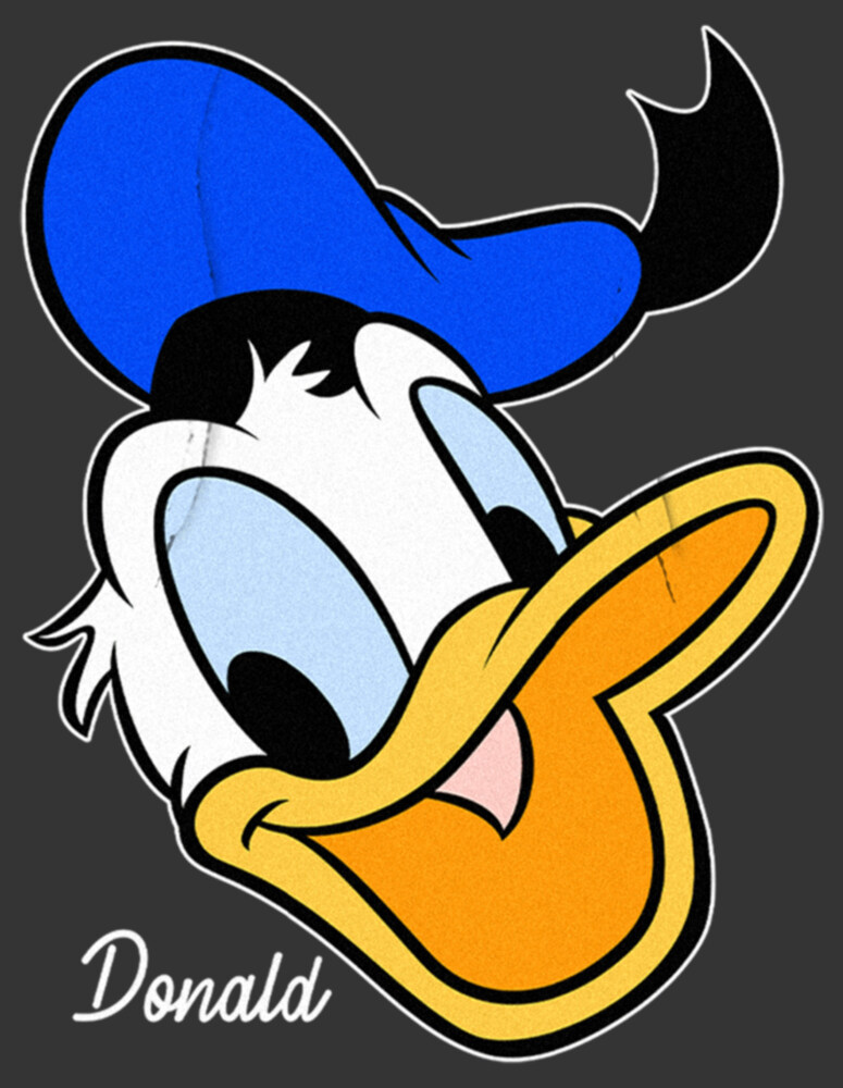 Men's Mickey & Friends Donald Duck Big Face  Adult Pull Over Hoodie