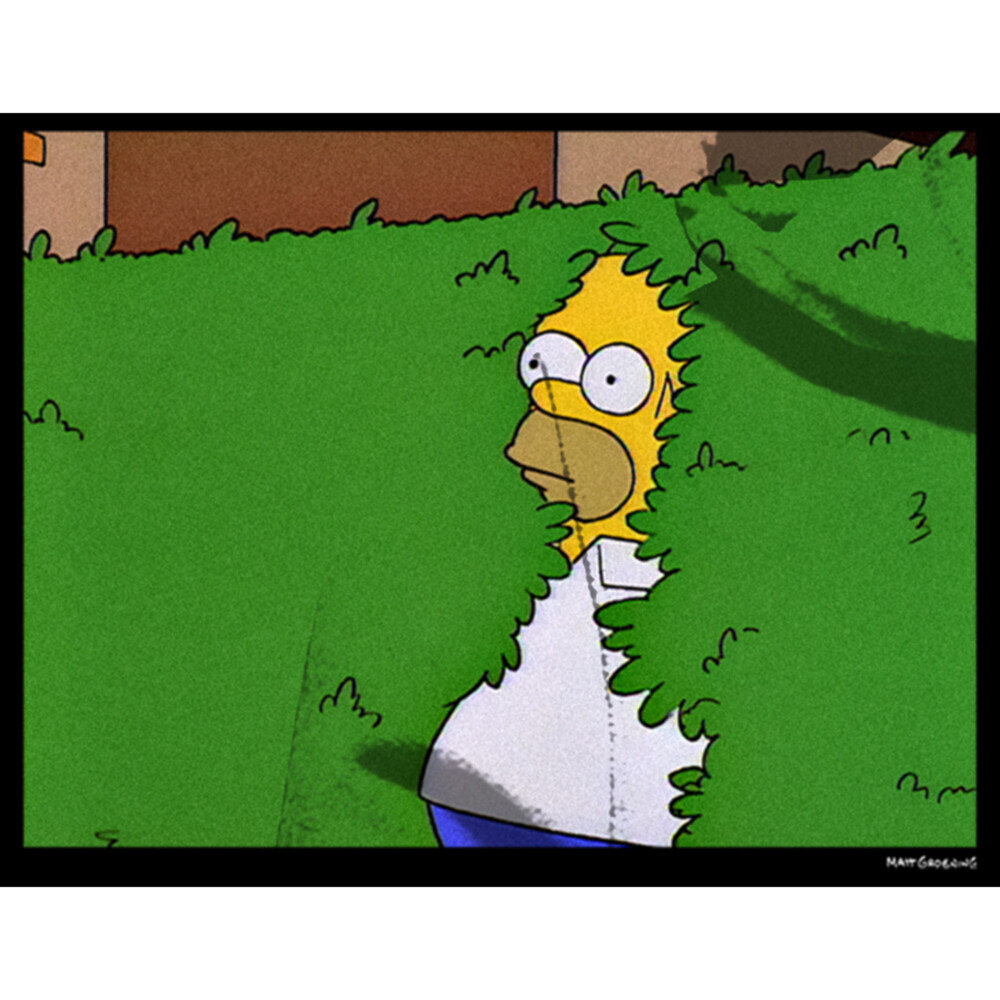 Men's The Simpsons Homer Bush  Adult Pull Over Hoodie