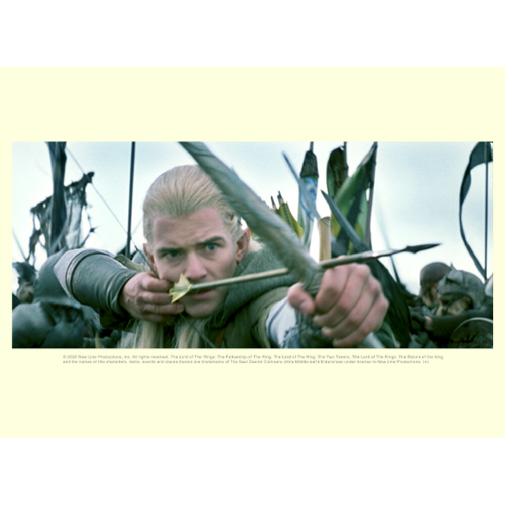 Men's The Lord of the Rings Fellowship of the Ring Legolas Bow and Arrow  Adult T-Shirt