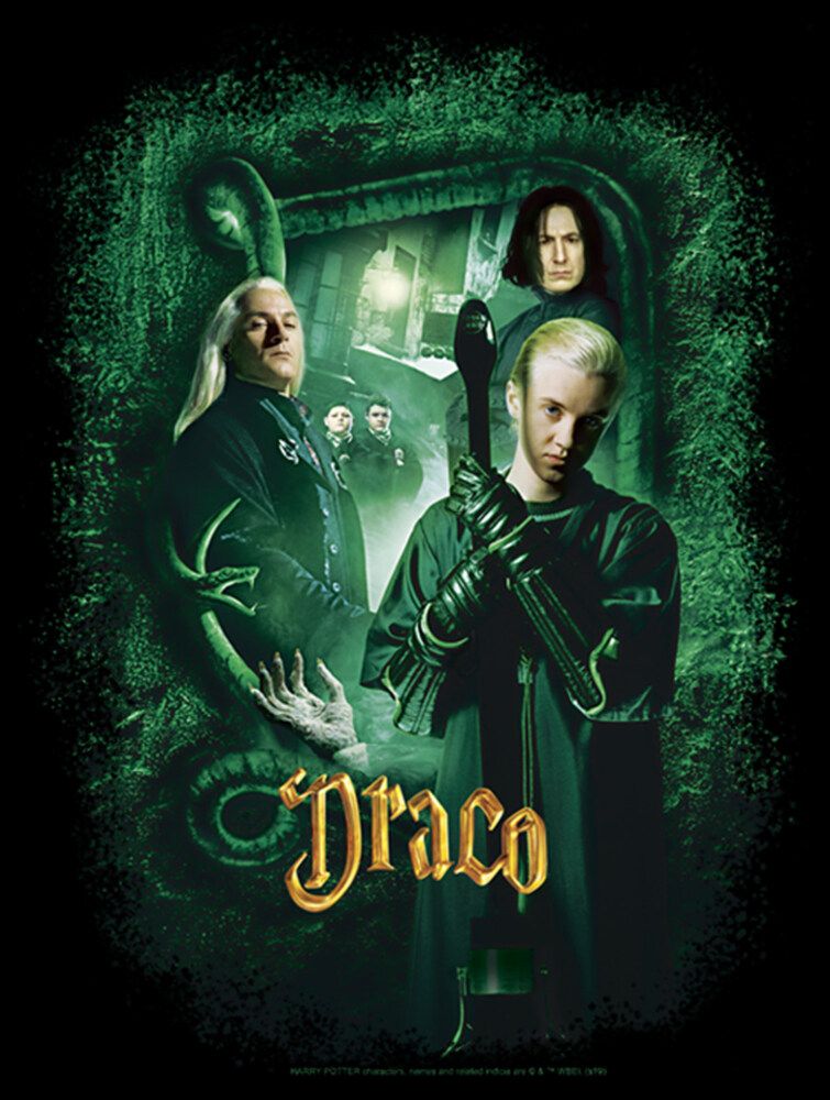 Men's Harry Potter Chamber Of Secrets Draco Portrait  Adult T-Shirt