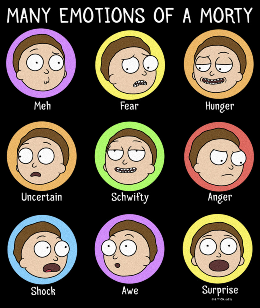 Men's Rick And Morty Many Emotions of a Morty  Adult T-Shirt