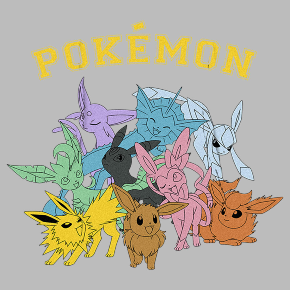 Men's Pokemon Eeveelutions  Adult Pull Over Hoodie