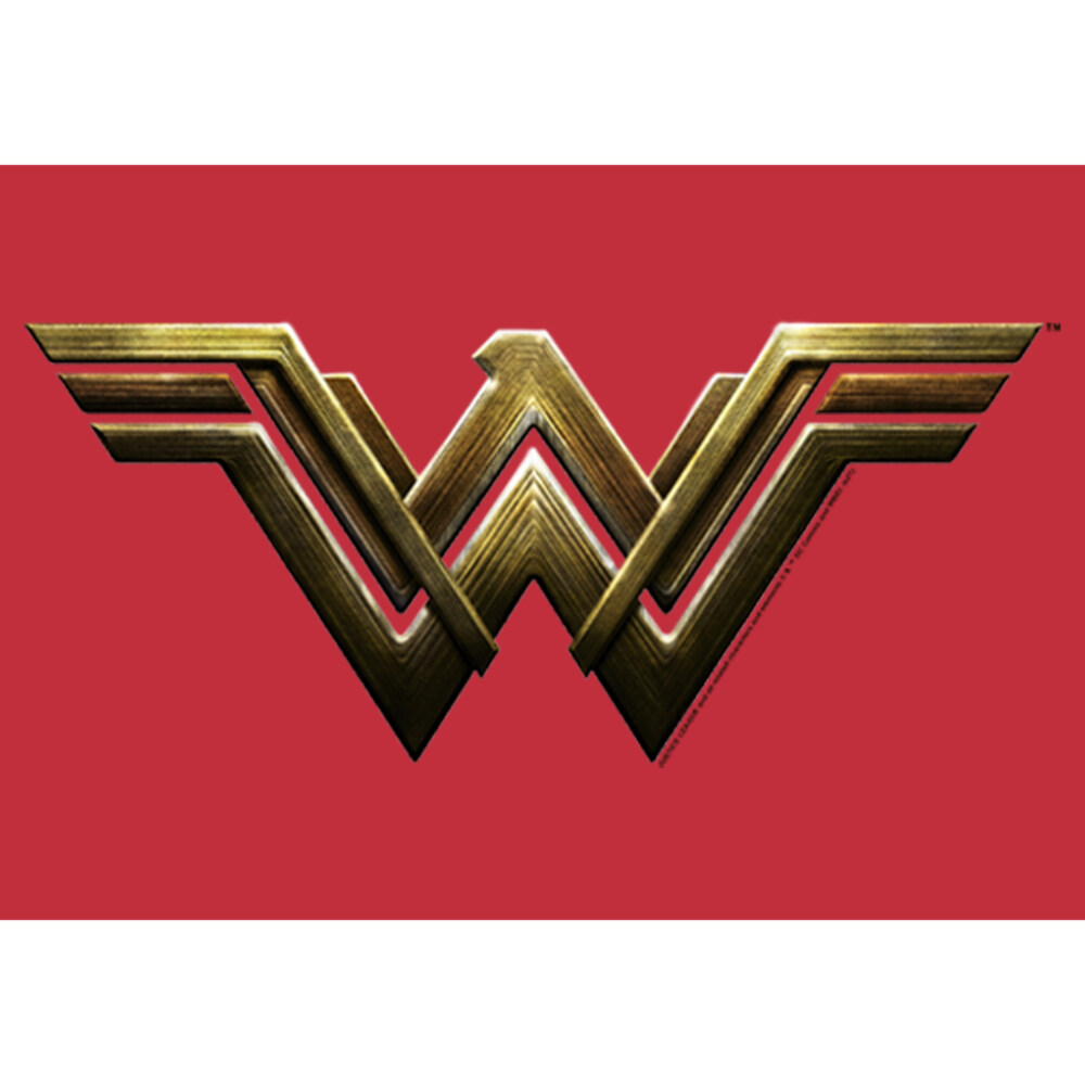 Men's Zack Snyder Justice League Wonder Woman Logo  Adult Sweatshirt