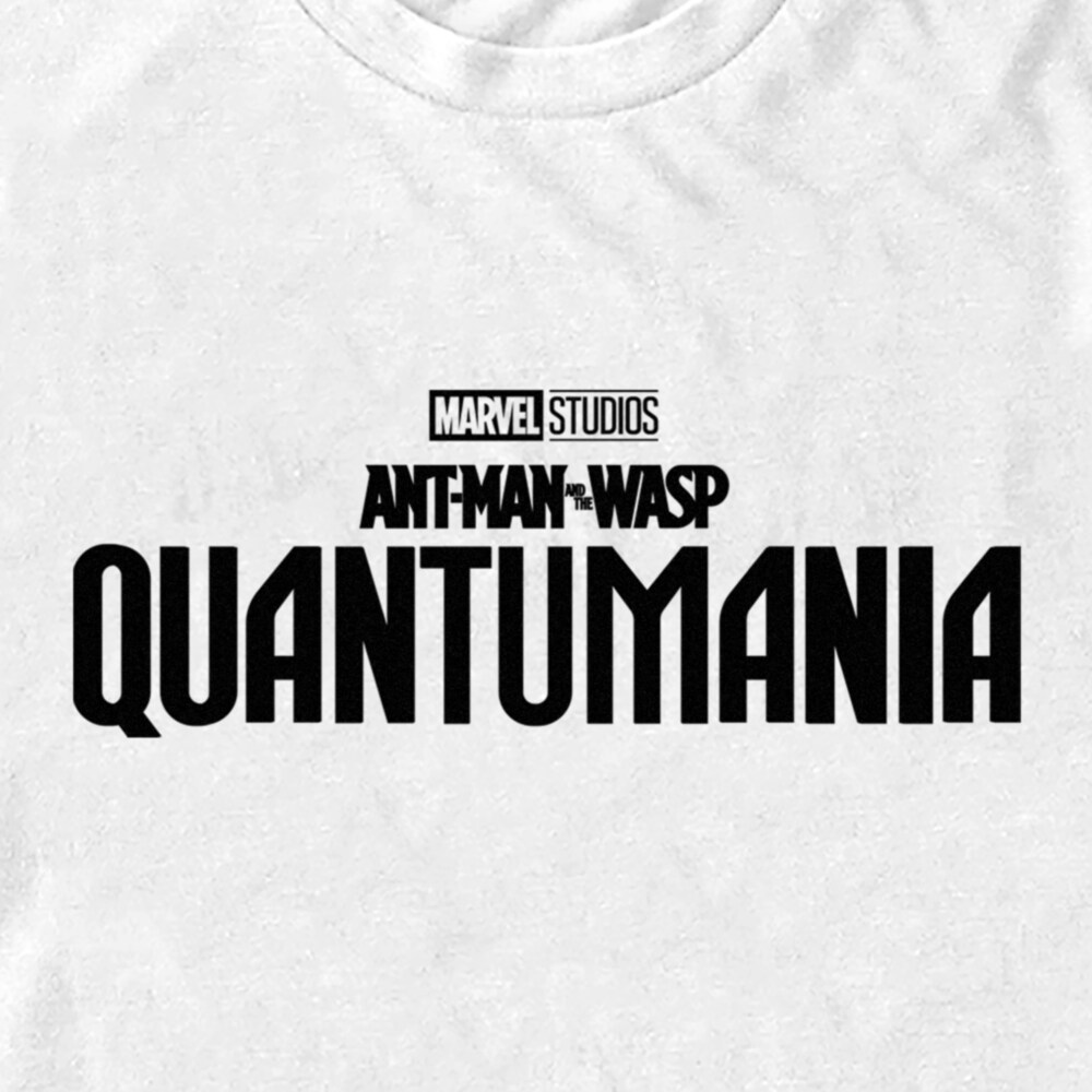 Men's Ant-Man and the Wasp: Quantumania Movie Logo Black  Adult T-Shirt