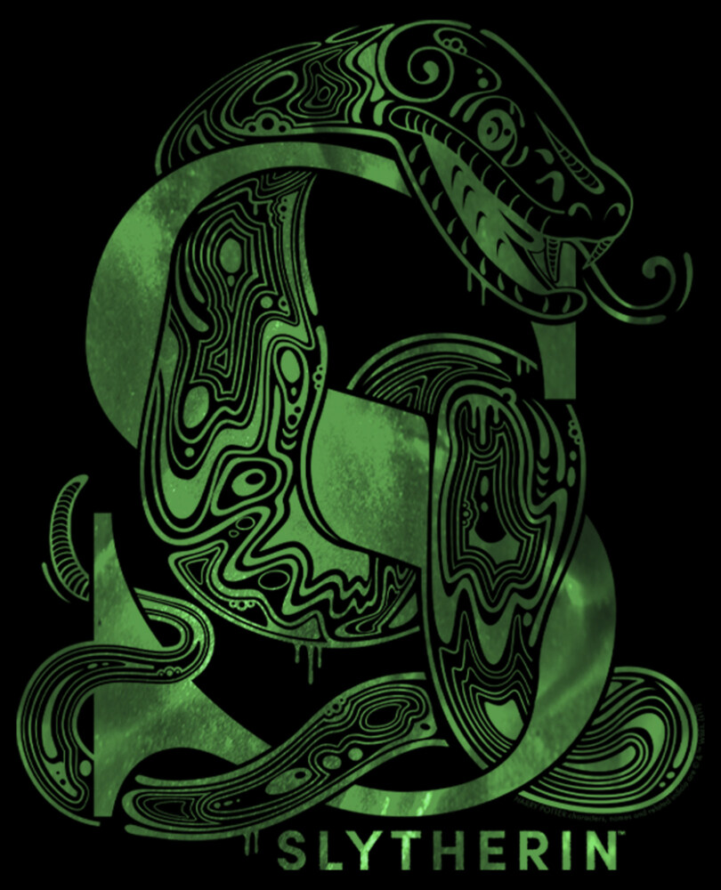 Men's Harry Potter Slytherin S Logo  Adult T-Shirt