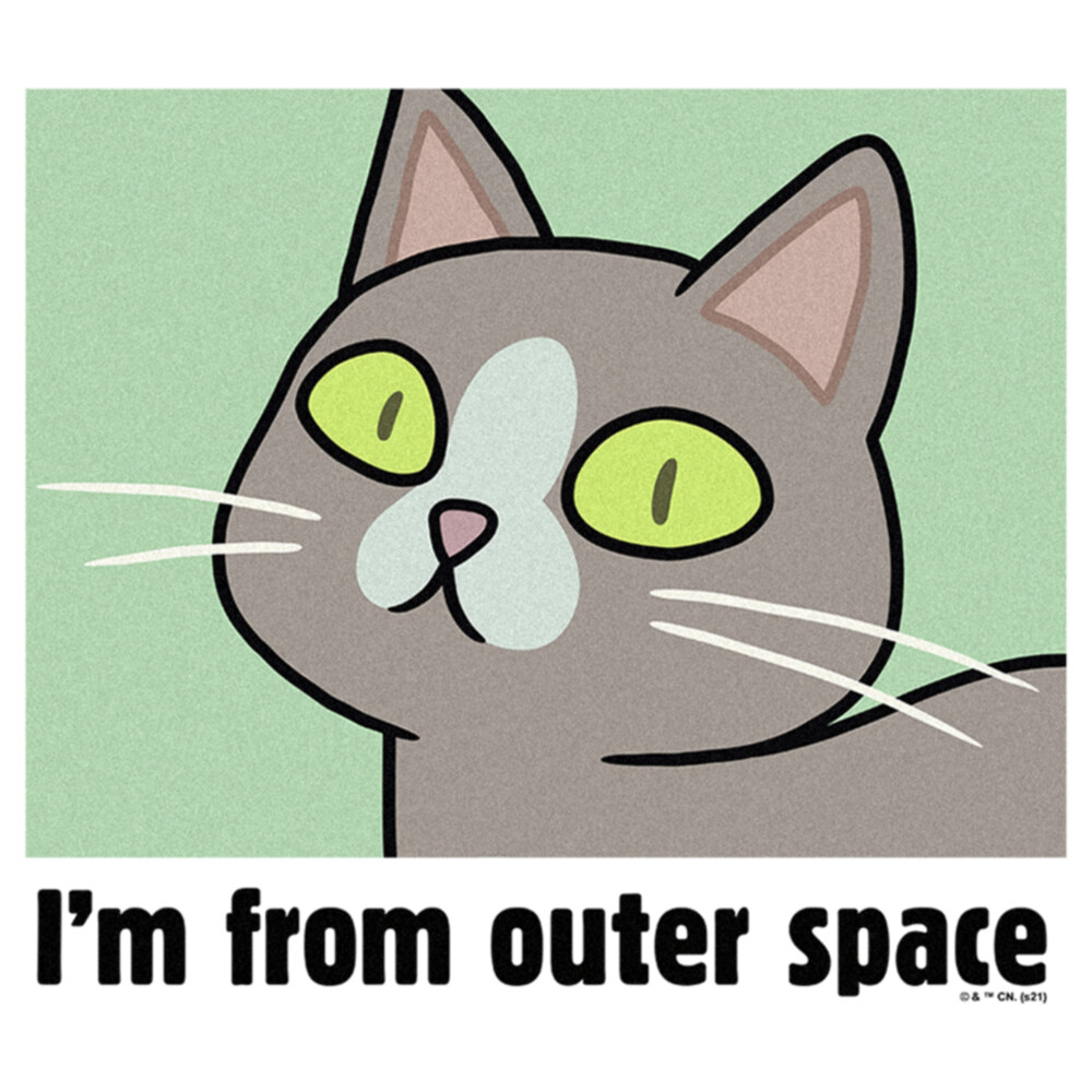 Men's Rick And Morty I'm from Outer Space  Adult T-Shirt
