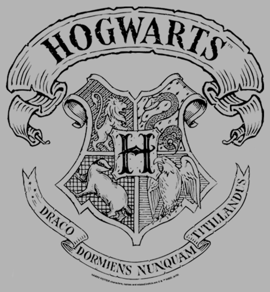 Men's Harry Potter Hogwarts 4 House Crest  Adult Pull Over Hoodie