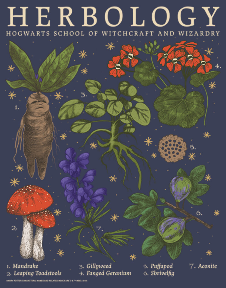 Men's Harry Potter Hogwarts Herbology  Adult Tank Top