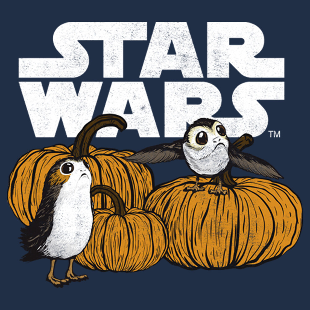 Men's Star Wars: The Last Jedi Pumpkin Patch Porg  Adult Long Sleeve Shirt