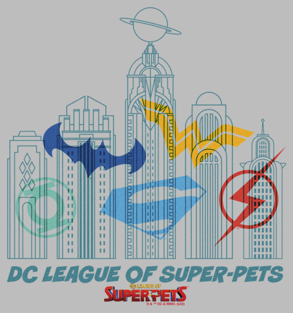 Men's DC League of Super-Pets Metropolis Skyline Outline  Adult T-Shirt