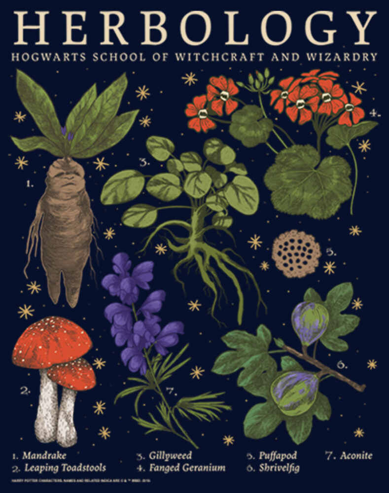 Men's Harry Potter Hogwarts Herbology  Adult Pull Over Hoodie