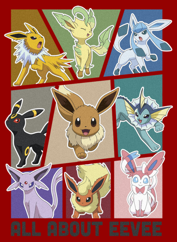 Men's Pokemon All About Eevee Eeveeloution  Adult T-Shirt