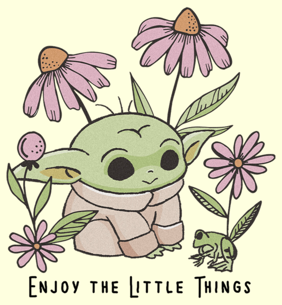 Men's Star Wars: The Mandalorian Grogu Enjoy the Little Things Frog  Adult T-Shirt