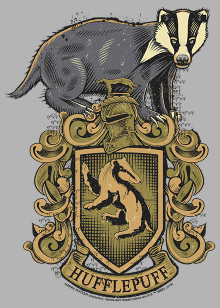 Men's Harry Potter Hufflepuff Crest  Adult Pull Over Hoodie