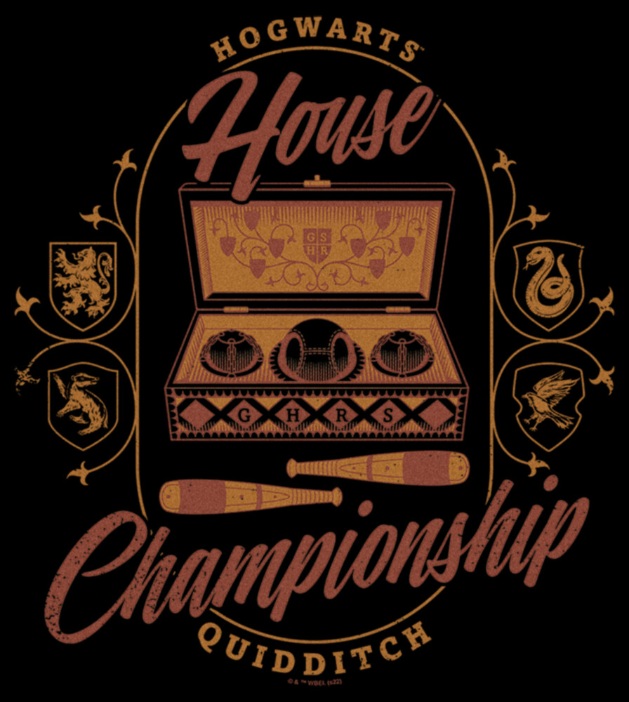 Men's Harry Potter Hogwarts House Championship  Adult T-Shirt