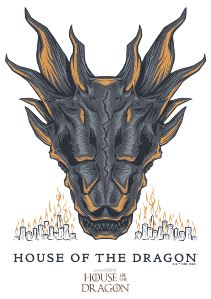 Men's Game of Thrones: House of the Dragon Skull of the Dragon Flames  Adult T-Shirt