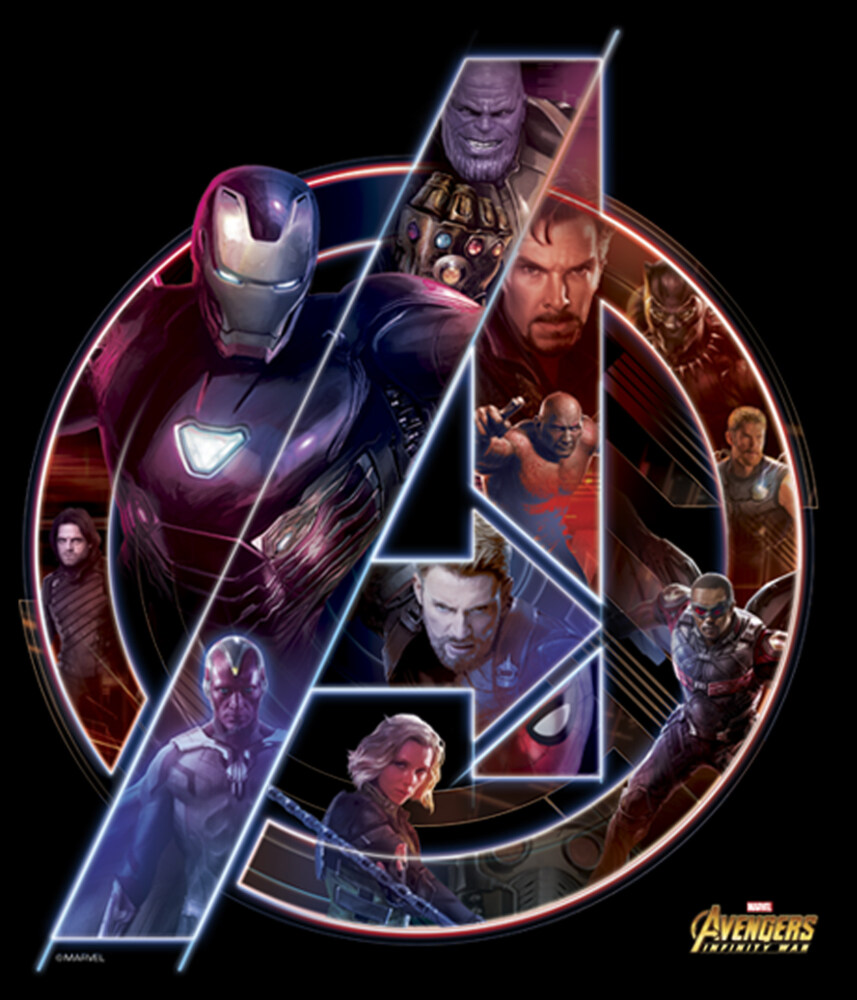 Men's Marvel Avengers: Infinity War Logo  Adult Pull Over Hoodie