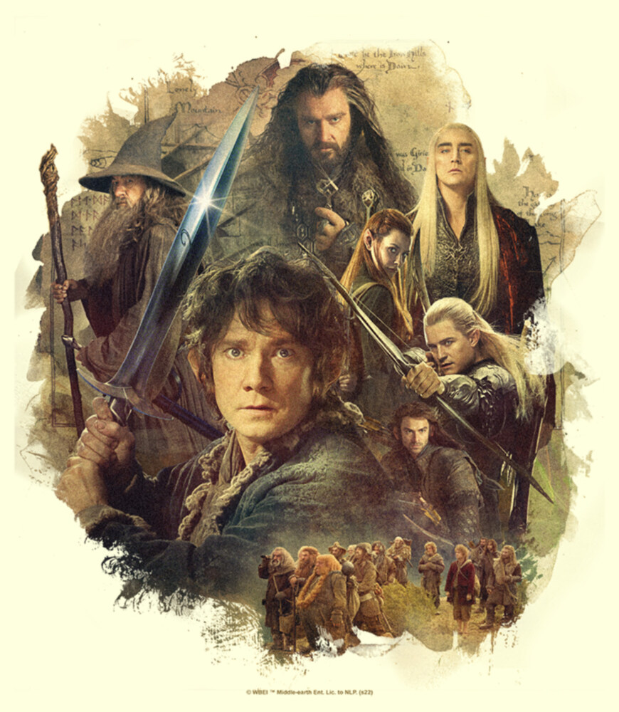 Men's The Hobbit: The Desolation of Smaug Character Poster  Adult T-Shirt