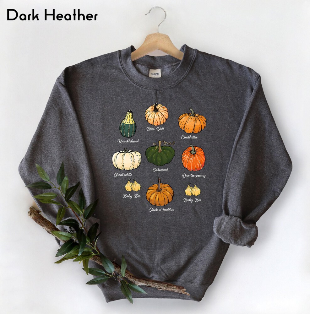 Type Of Pumpkins Sweatshirt, Fall Halloween Pumpkin Patch Shirt, Pumpkin Season Sweater, Holiday Tee, Autumn Sweater, Thanksgiving Gift