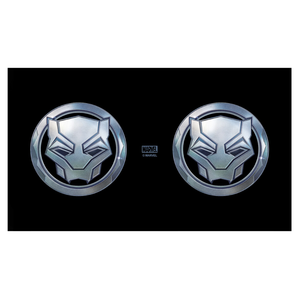 Marvel: Black Panther: Wakanda Forever Vibranium Panther Logo  Adult Stainless Steel Water Bottle