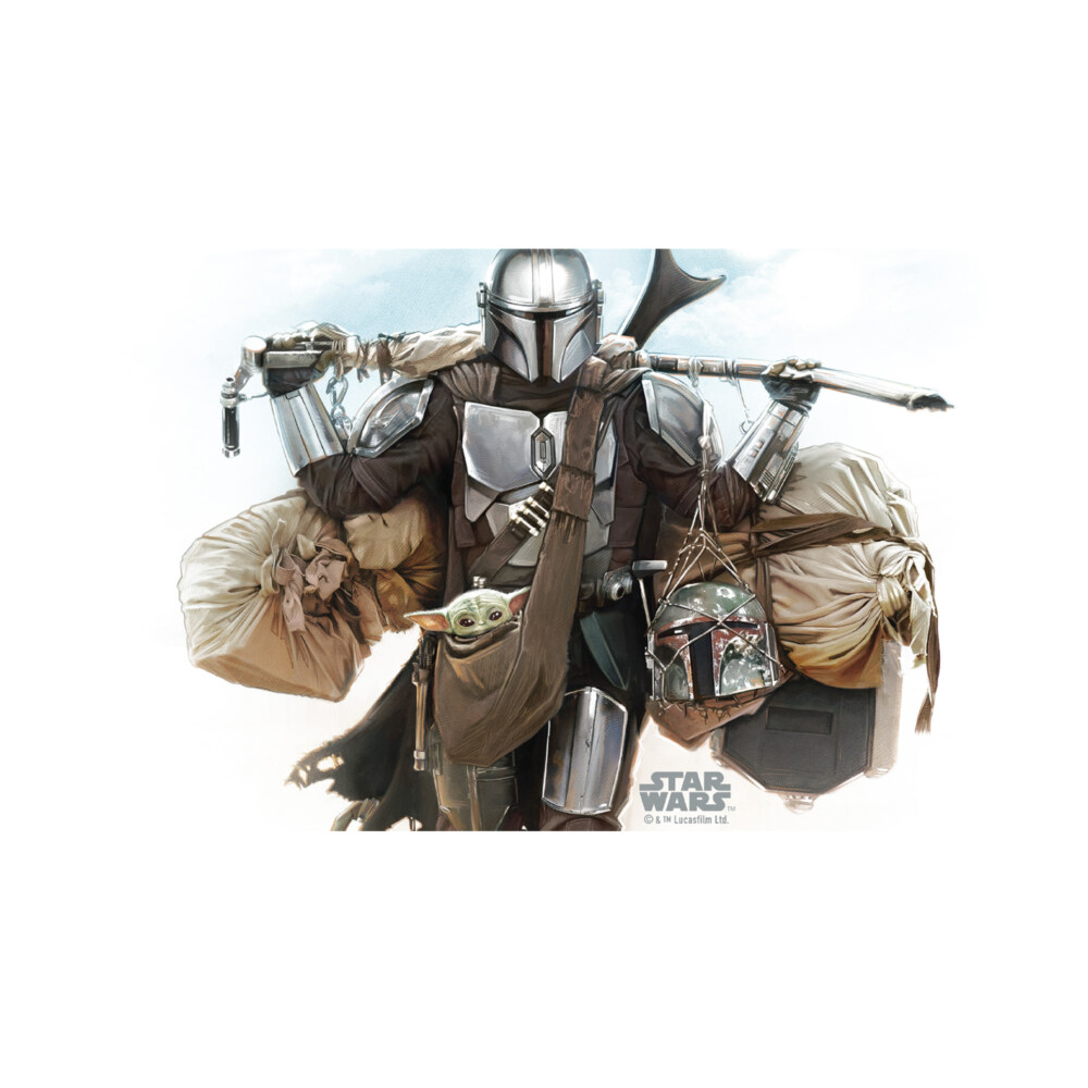 Star Wars: The Mandalorian Holding it All  Adult Stainless Steel Water Bottle