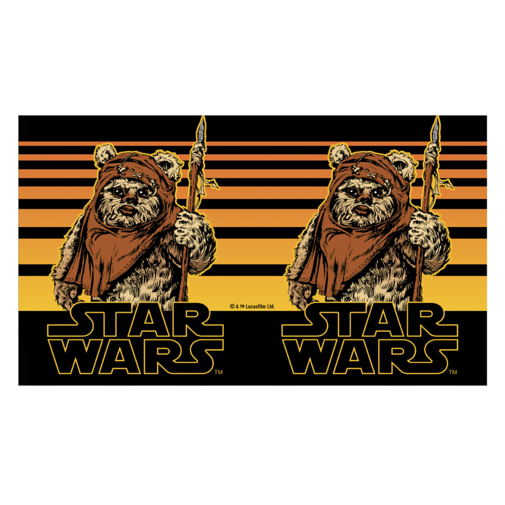 Star Wars Wicket Ewok Stripes  Adult Stainless Steel Water Bottle