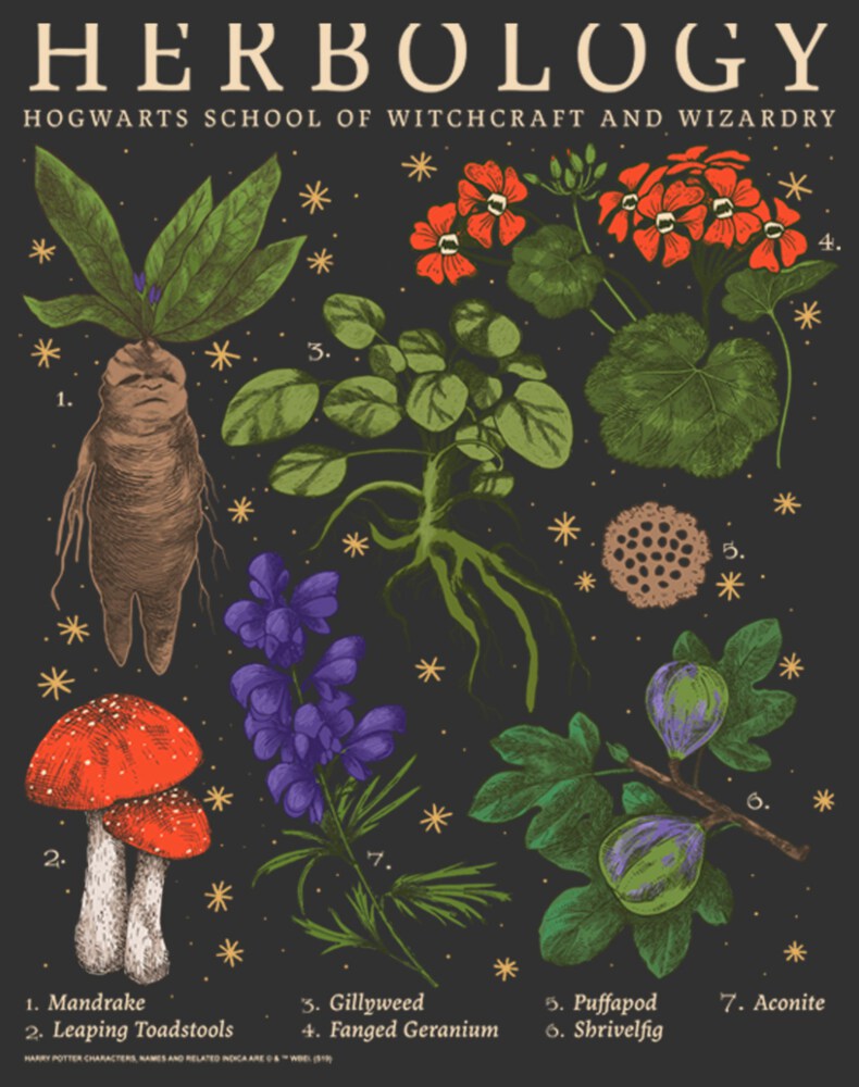 Men's Harry Potter Hogwarts Herbology  Adult Sweatshirt