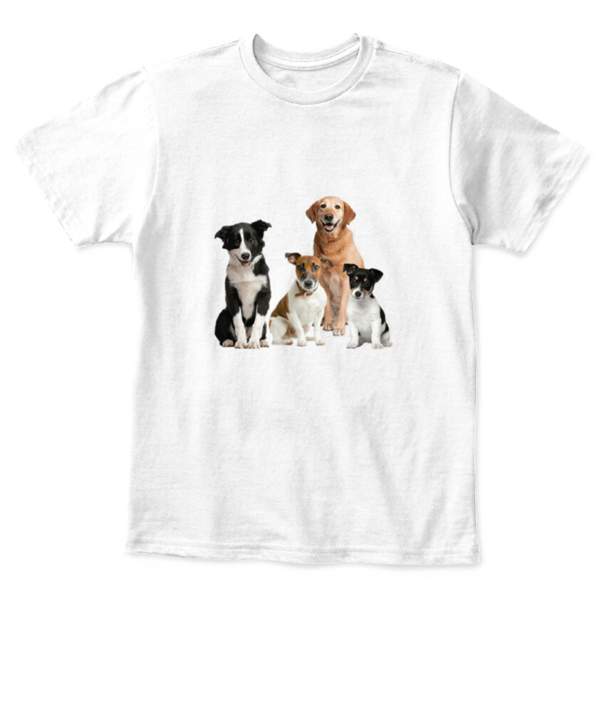Mockup