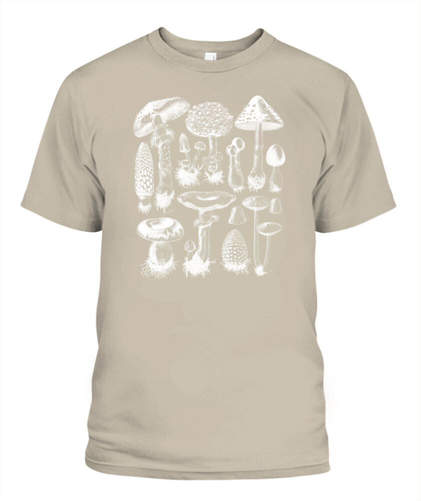 Property of Mushroom Research Unit – Vintage Fungi Specimen Art