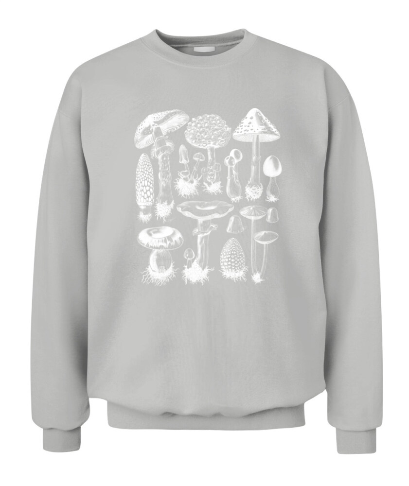 Property of Mushroom Research Unit – Vintage Fungi Specimen Art